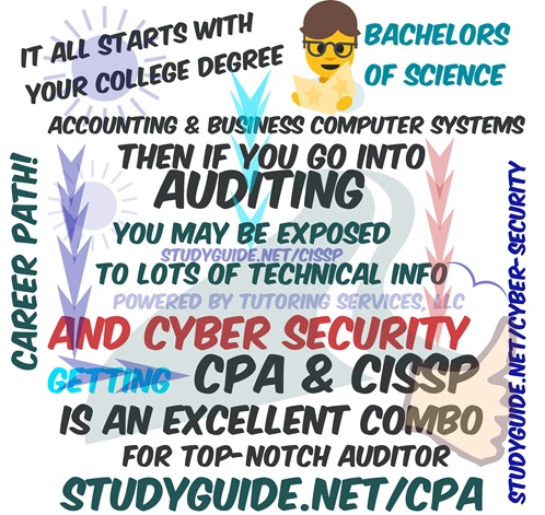 What other type of industry professions may want to study for this CISSP exam?